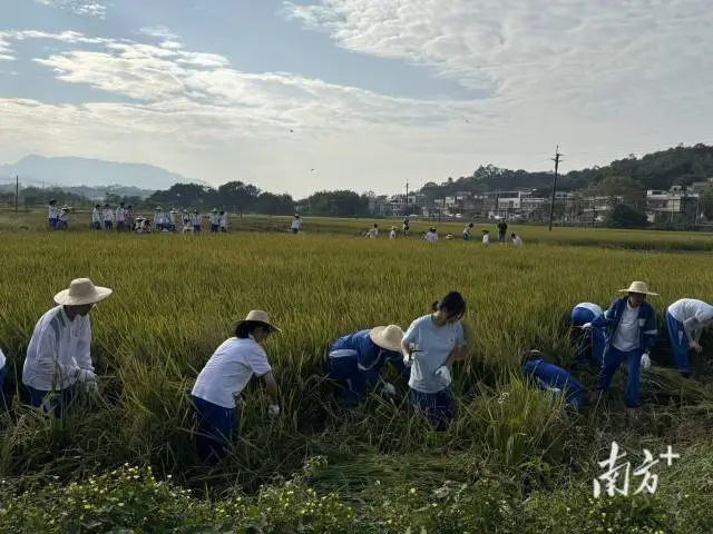 大中小学生都要上的这堂课，广东有什么不一样？ | 广东教育强省建设一线观察